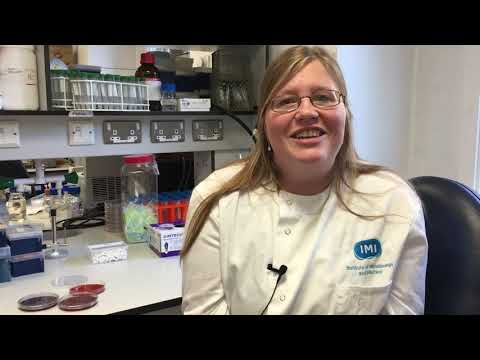 A new antimicrobial coating that kills hospital-acquired infections