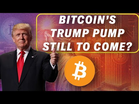 Bitcoin Expert Says Trump Crypto Rally Still Coming